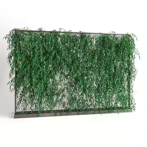 Planter With Plants-Ivy 5