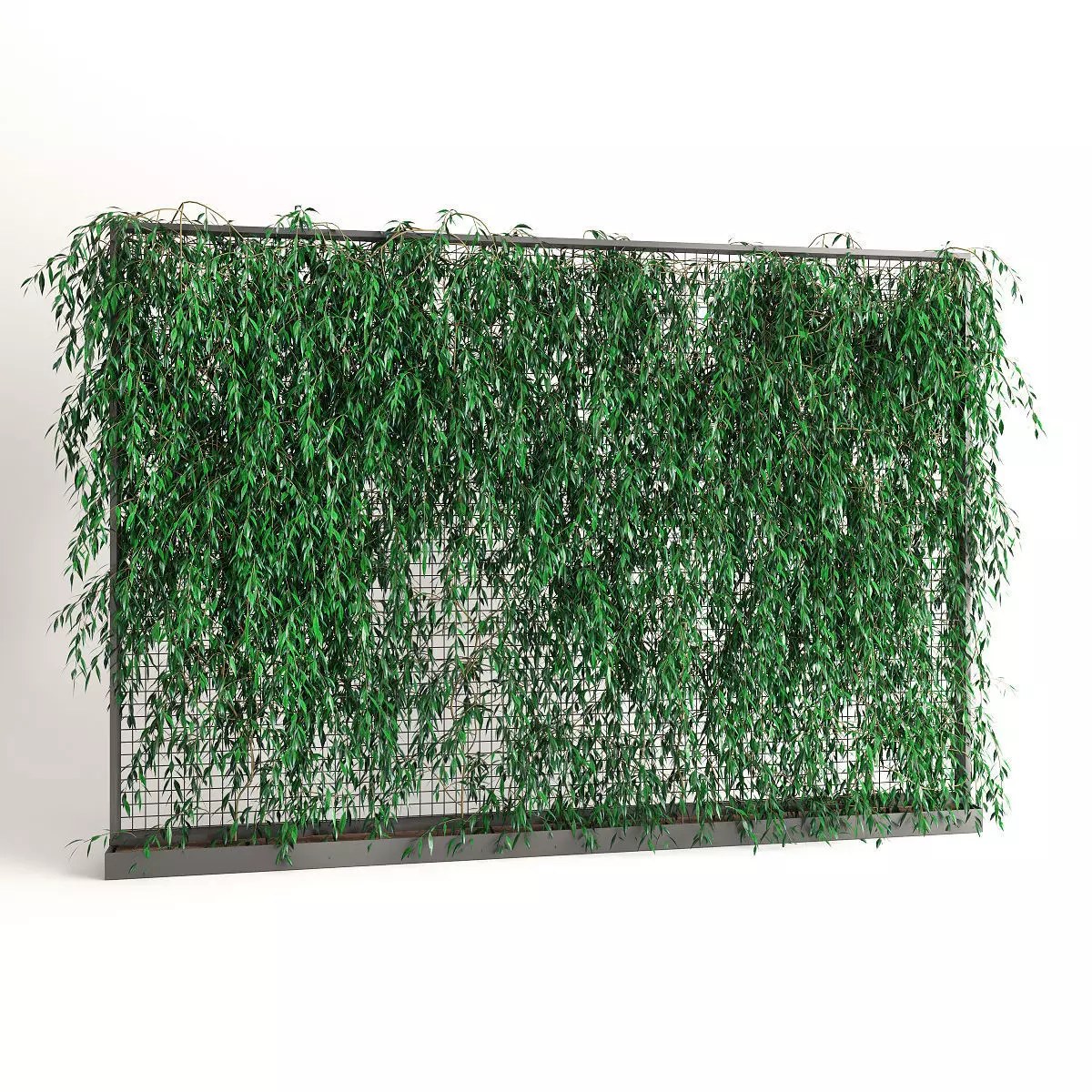 Planter With Plants-Ivy 5 3D model_0