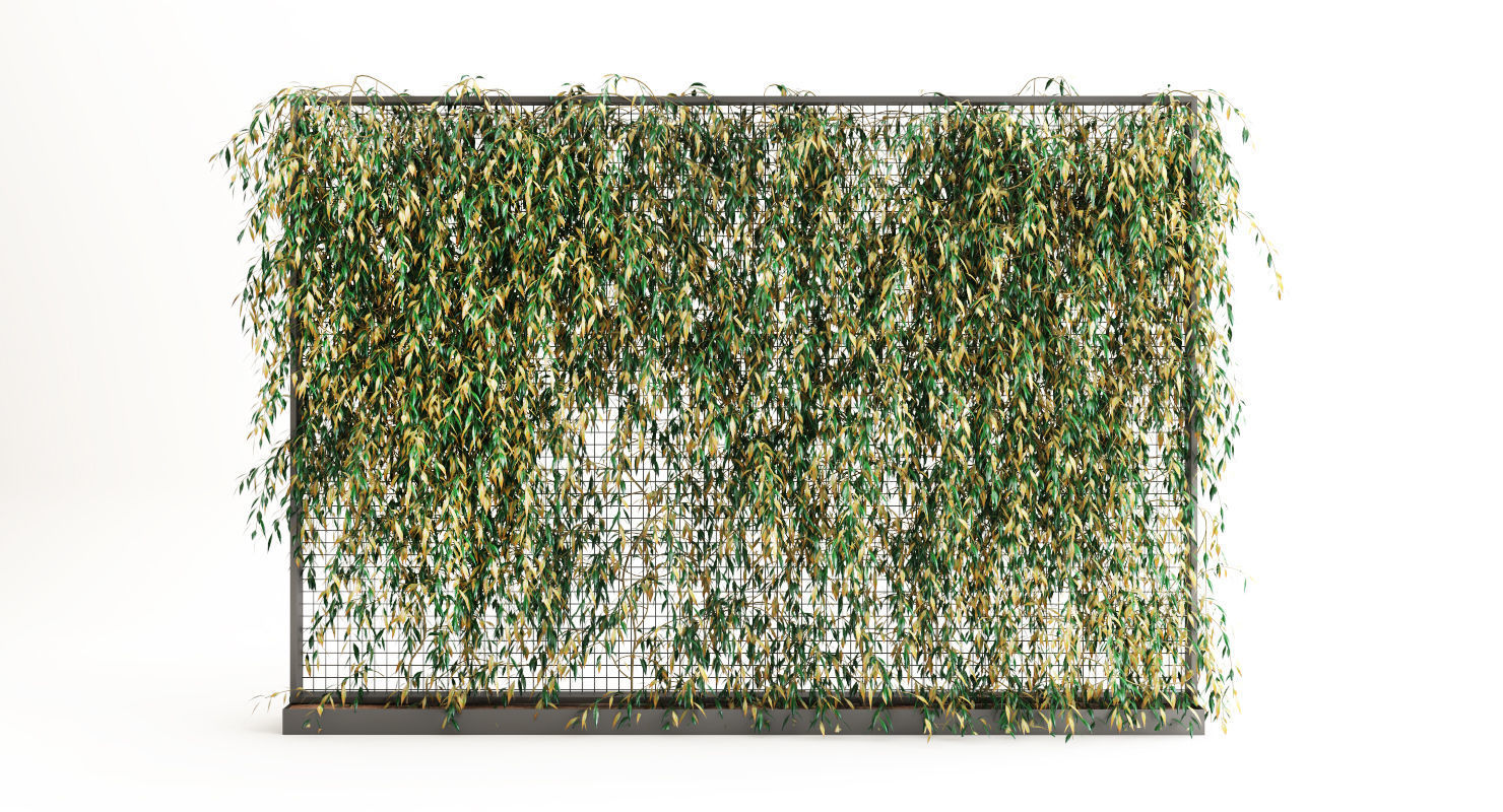 Planter With Plants-Ivy 5 3D model_1