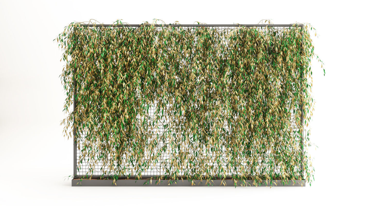 Planter With Plants-Ivy 5 3D model_2