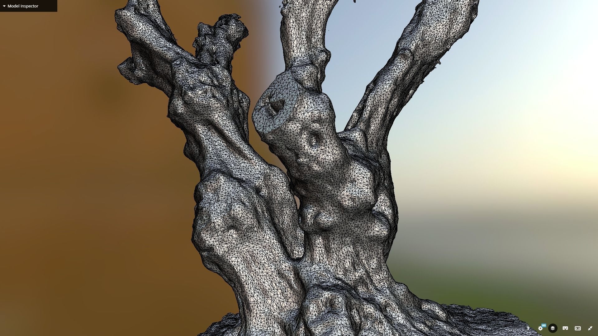 Olive tree photogrammetry scan 3D model_6