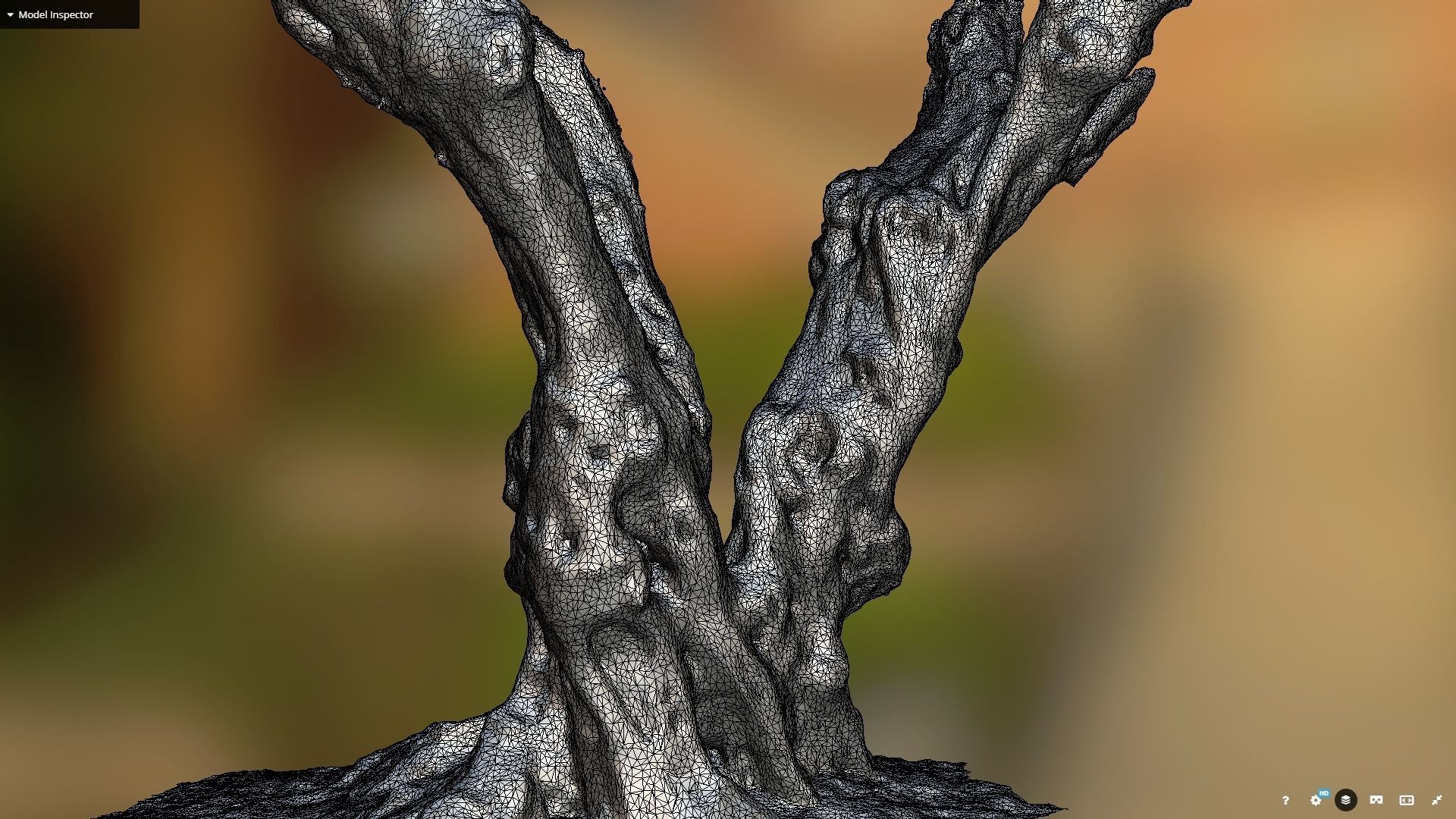 Olive tree photogrammetry scan 3D model_5