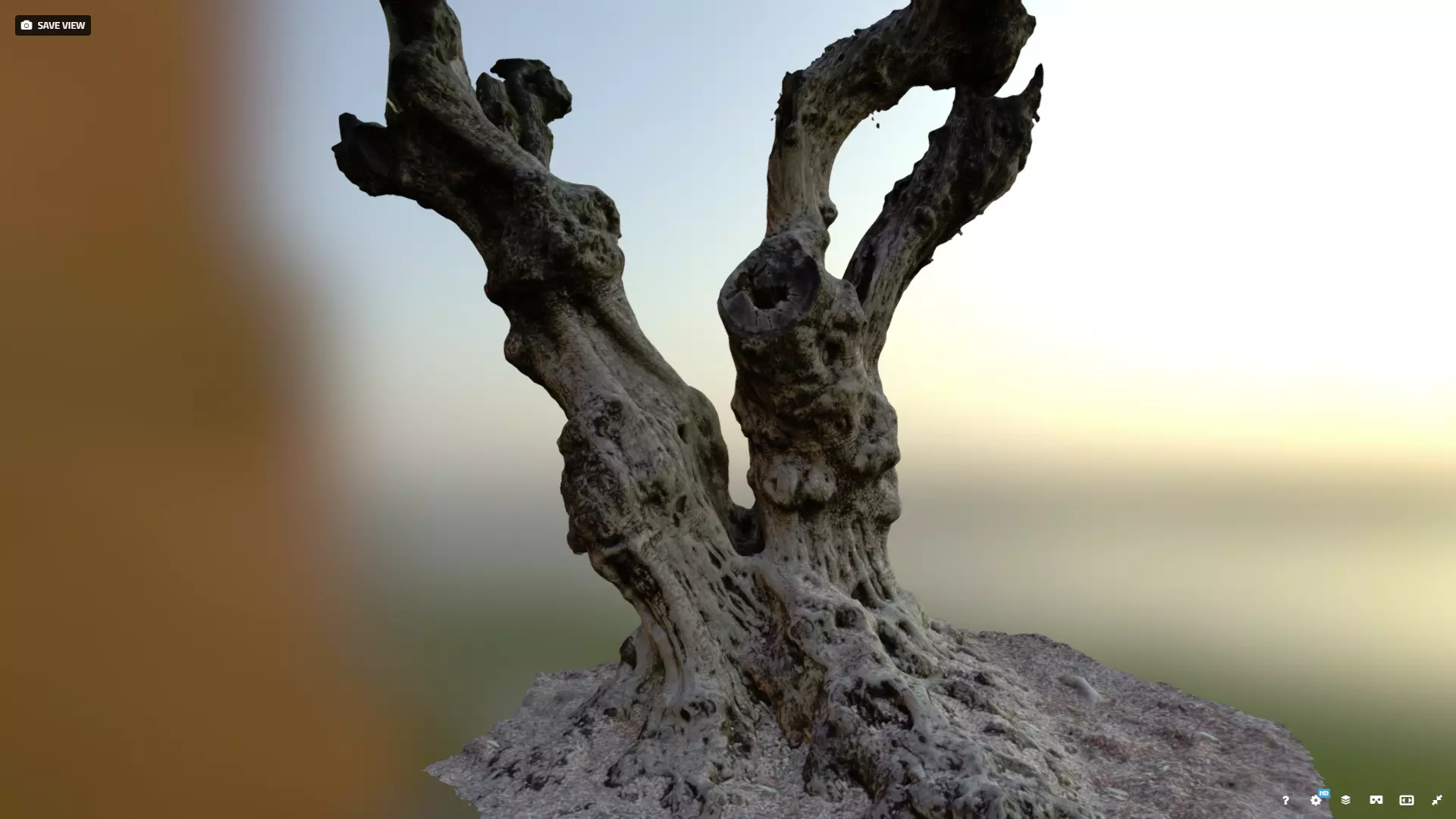 Olive tree photogrammetry scan 3D model_0