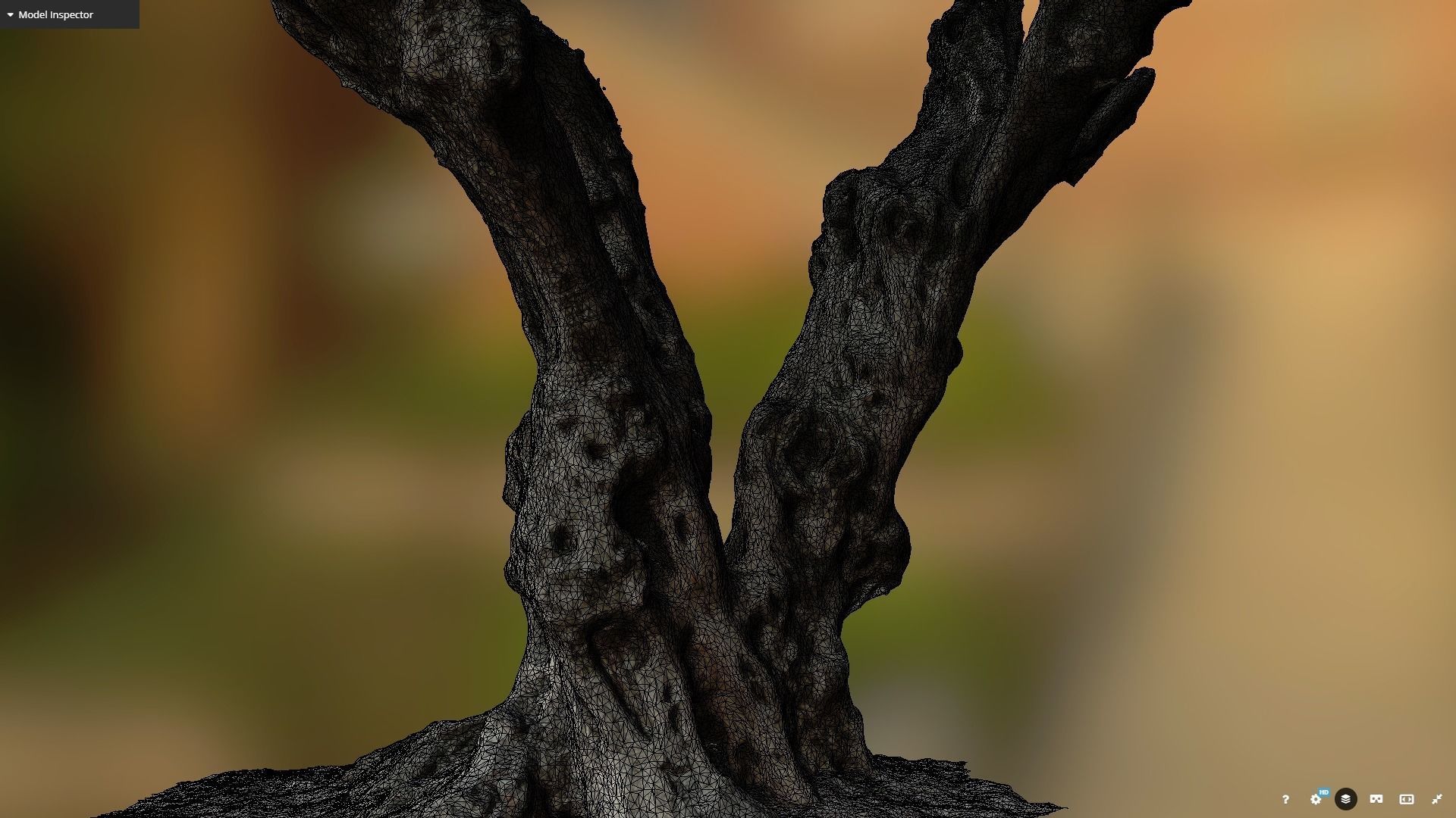 Olive tree photogrammetry scan 3D model_4