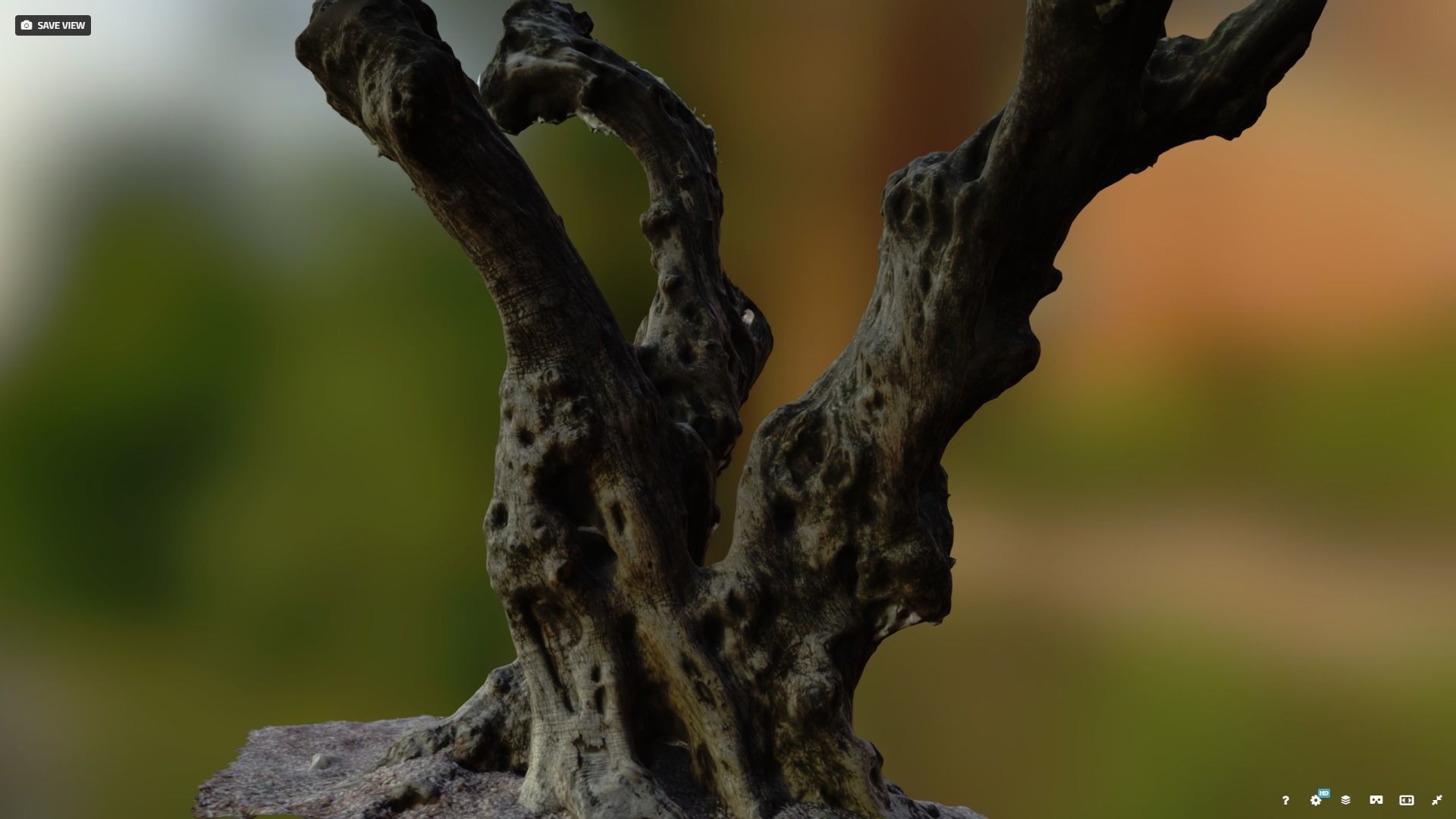 Olive tree photogrammetry scan 3D model_2