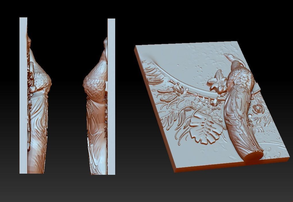 Peacock book with 3D print model_2