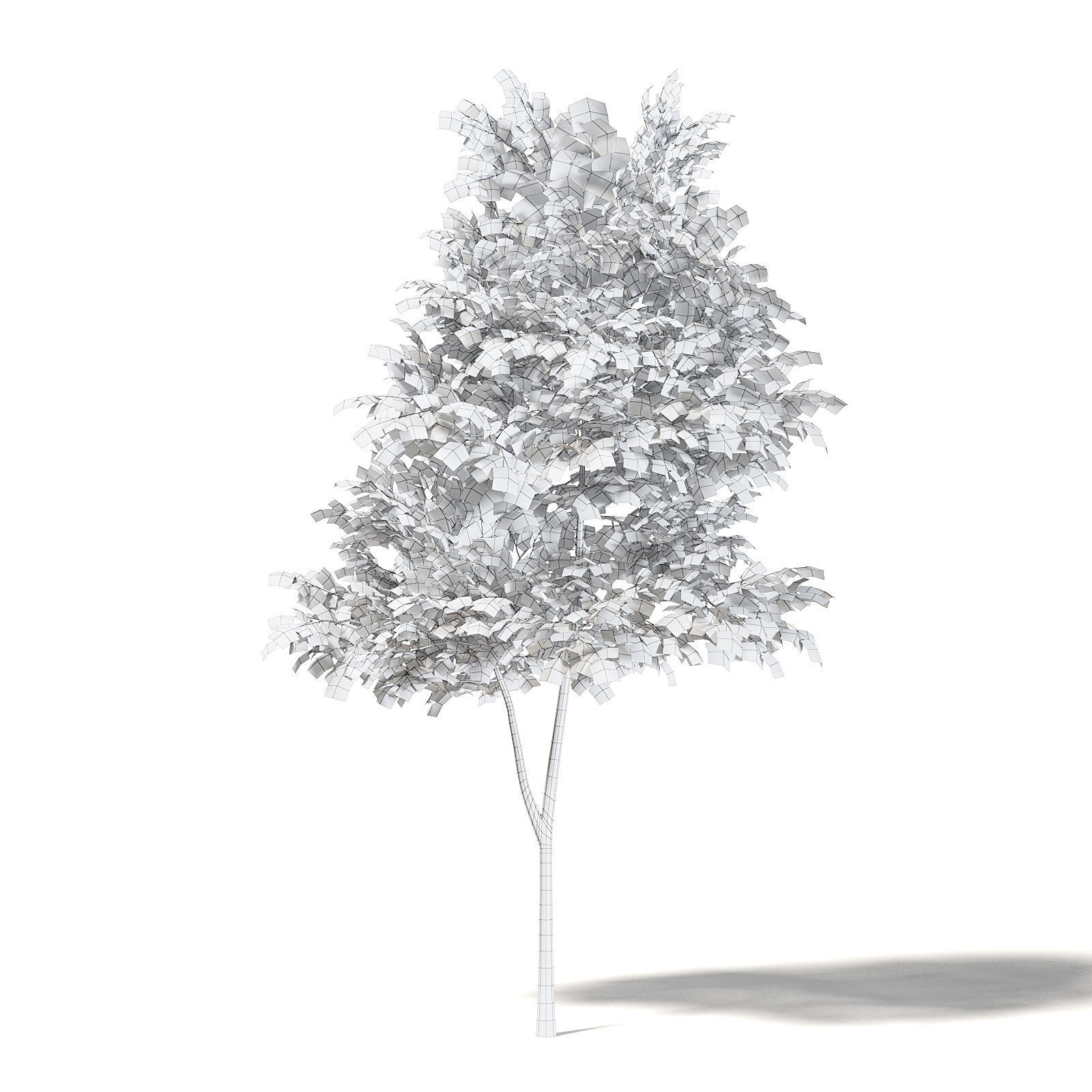 Alder 3D Model 3m 3D model_3