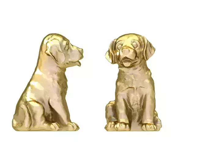 dog jewelry