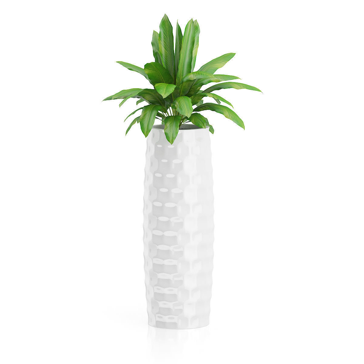 Plants two concrete planters with plant in middle 3D print model_8