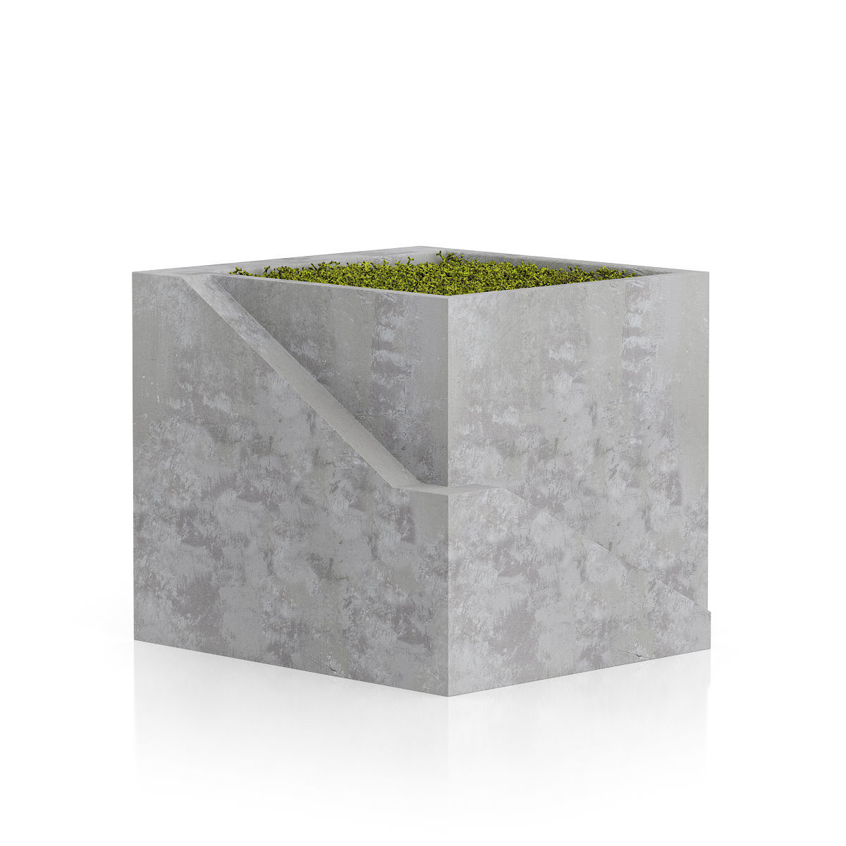 Plants two concrete planters with plant in middle 3D print model_7