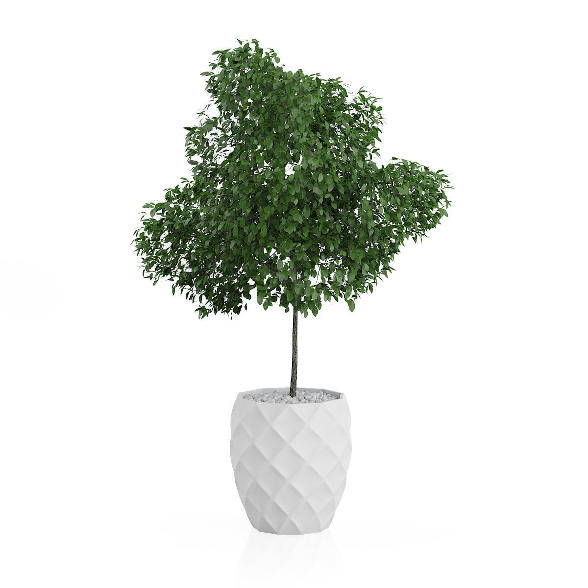 Plants two concrete planters with plant in middle 3D print model_12