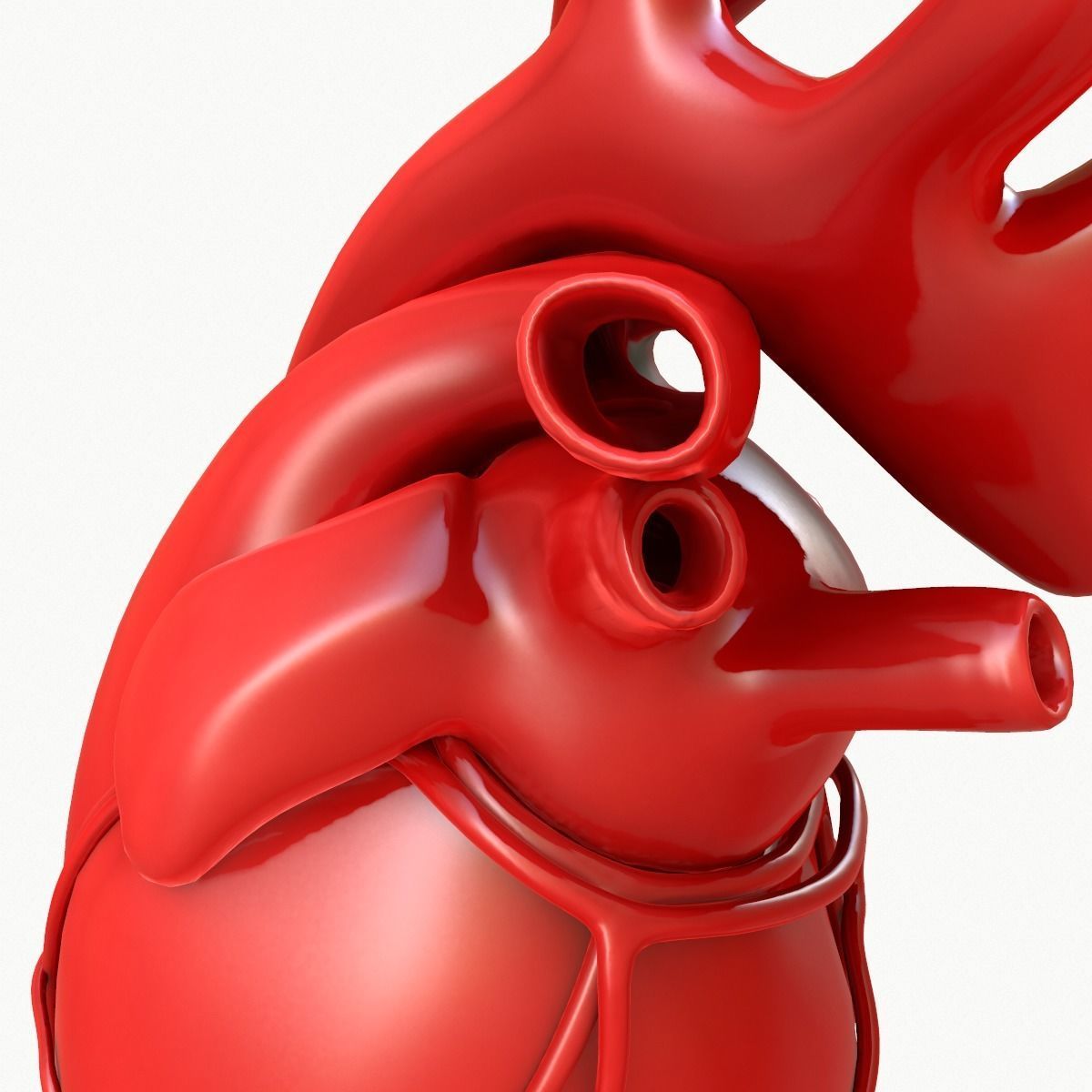 Human Heart 3D model_11
