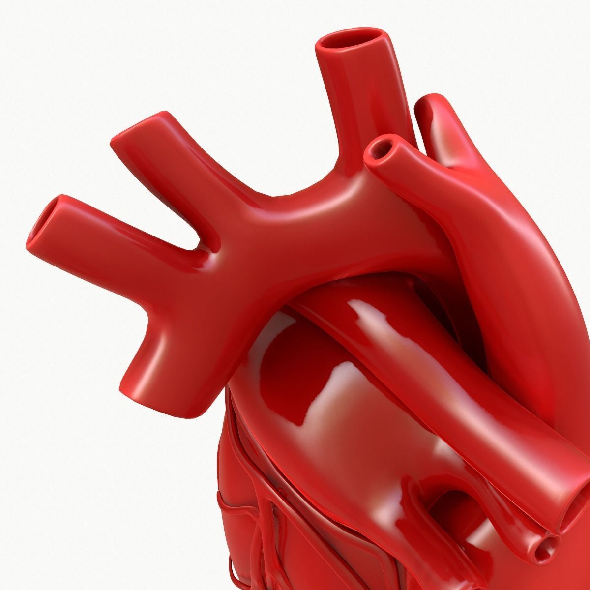 Human Heart 3D model_14