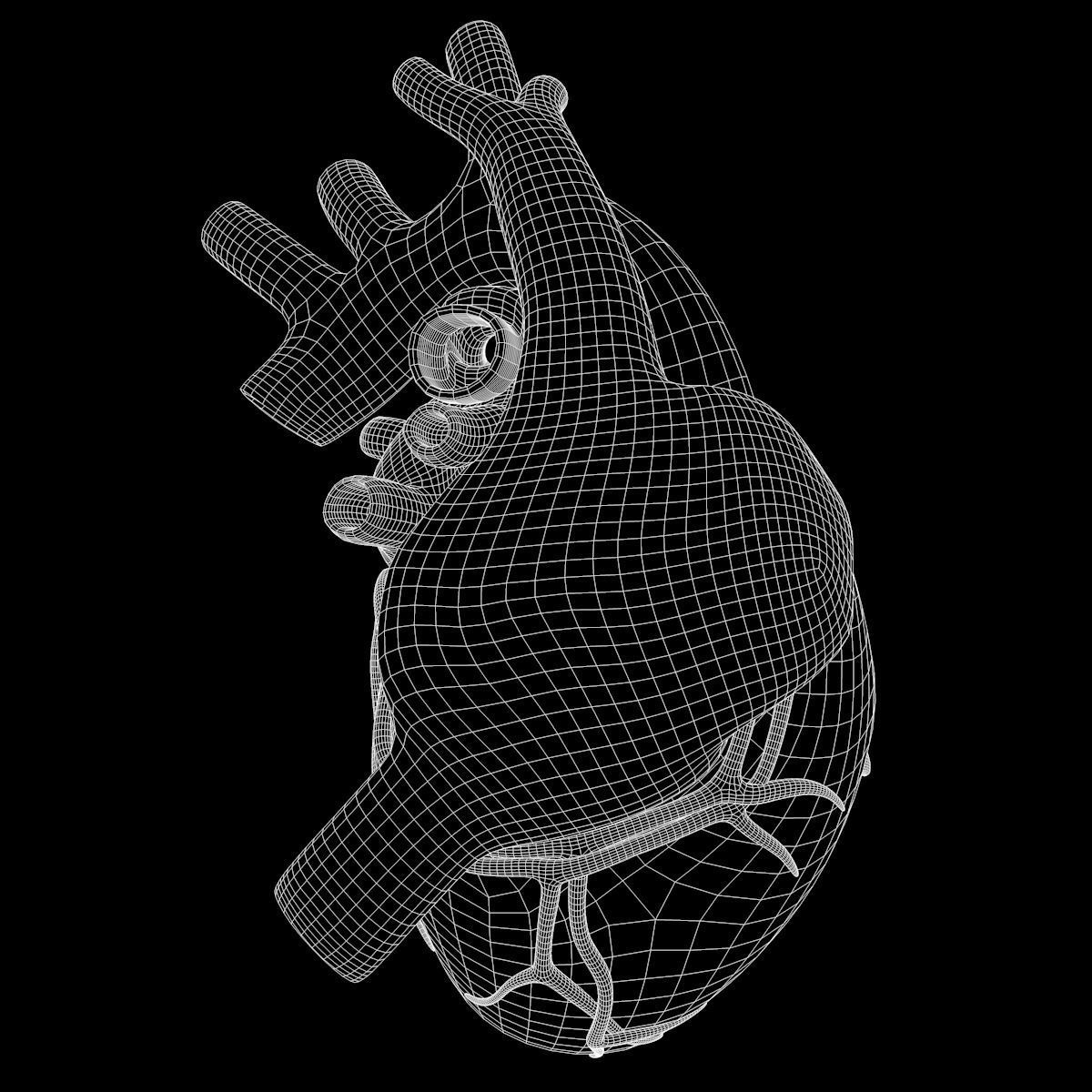 Human Heart 3D model_19