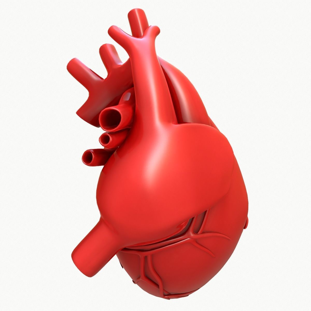 Human Heart 3D model_8