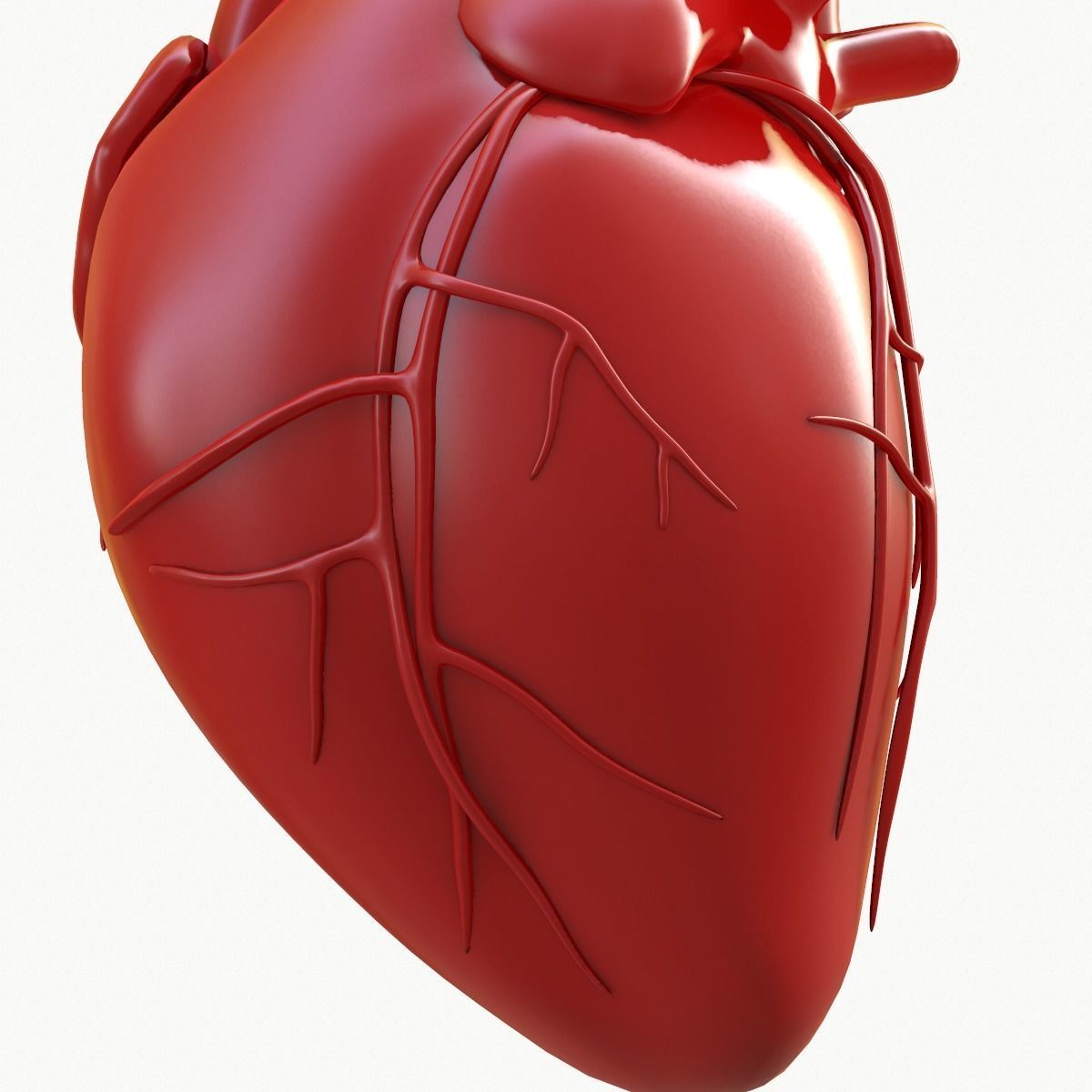 Human Heart 3D model_12