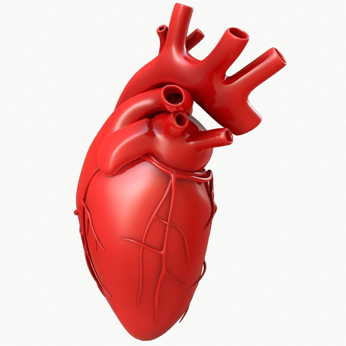 Human Heart 3D model_1