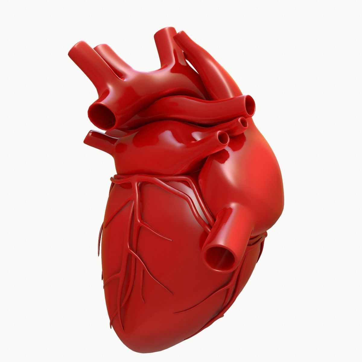 Human Heart 3D model_5