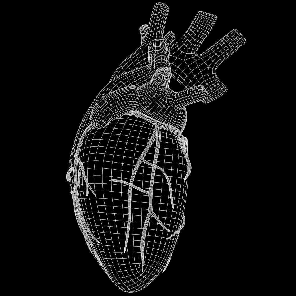 Human Heart 3D model_17