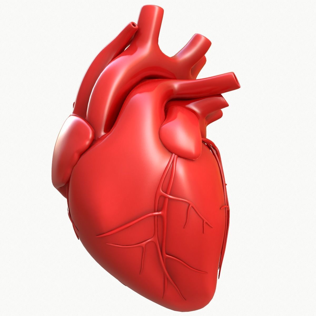 Human Heart 3D model_3