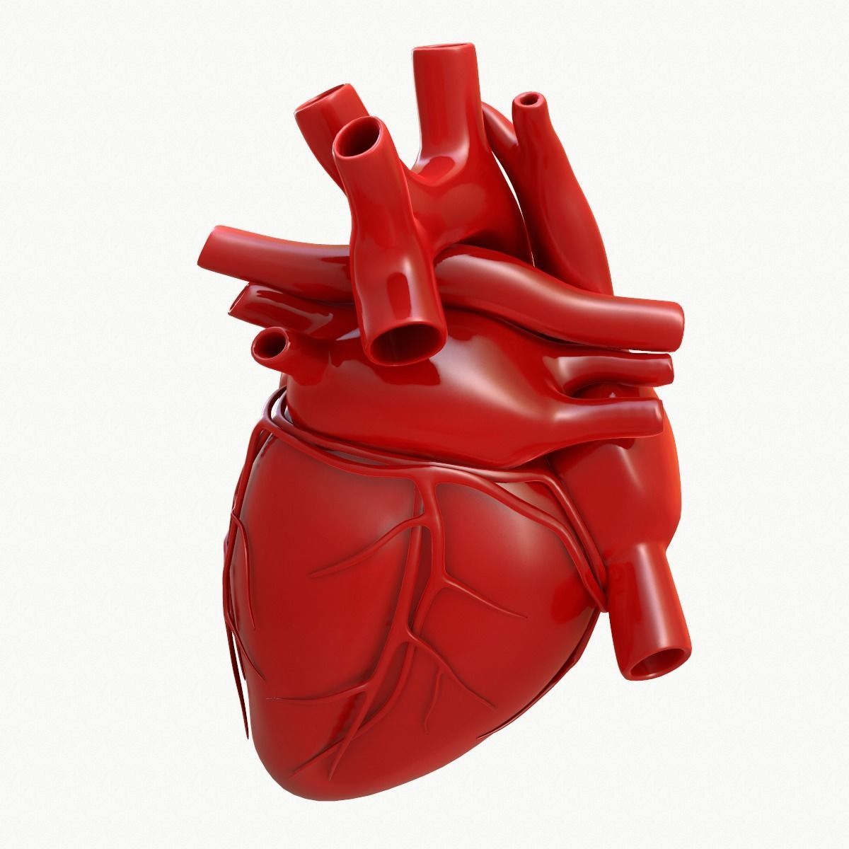Human Heart 3D model_4
