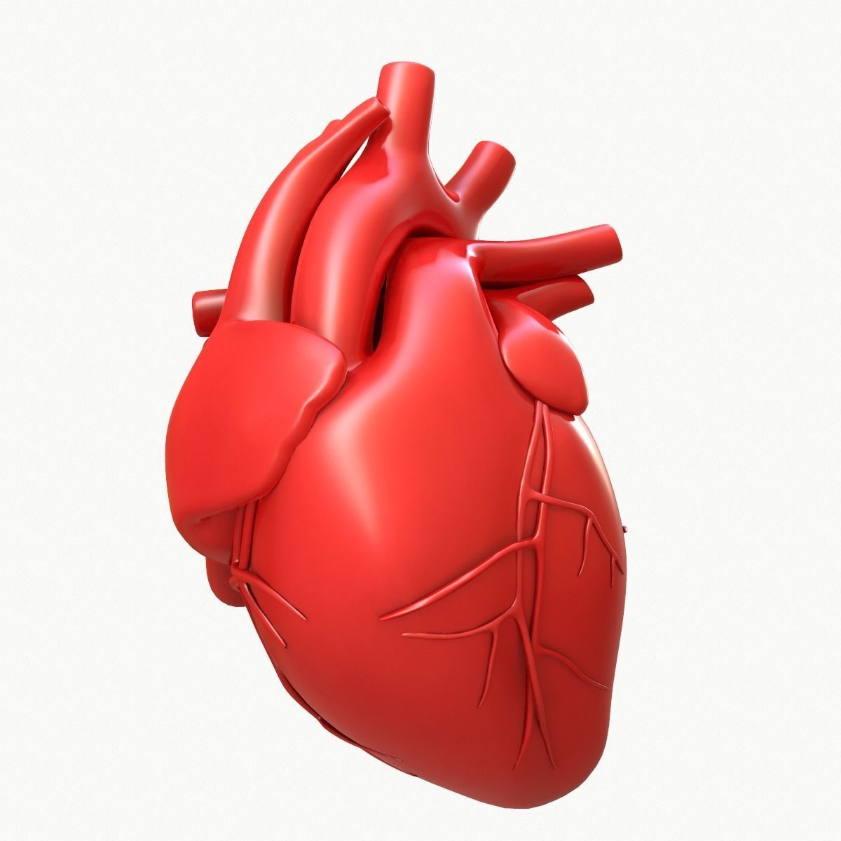 Human Heart 3D model_2