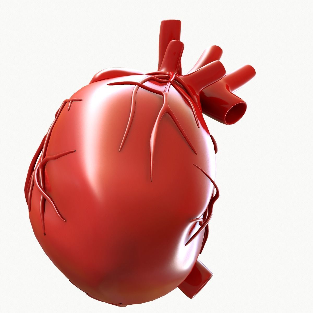 Human Heart 3D model_7