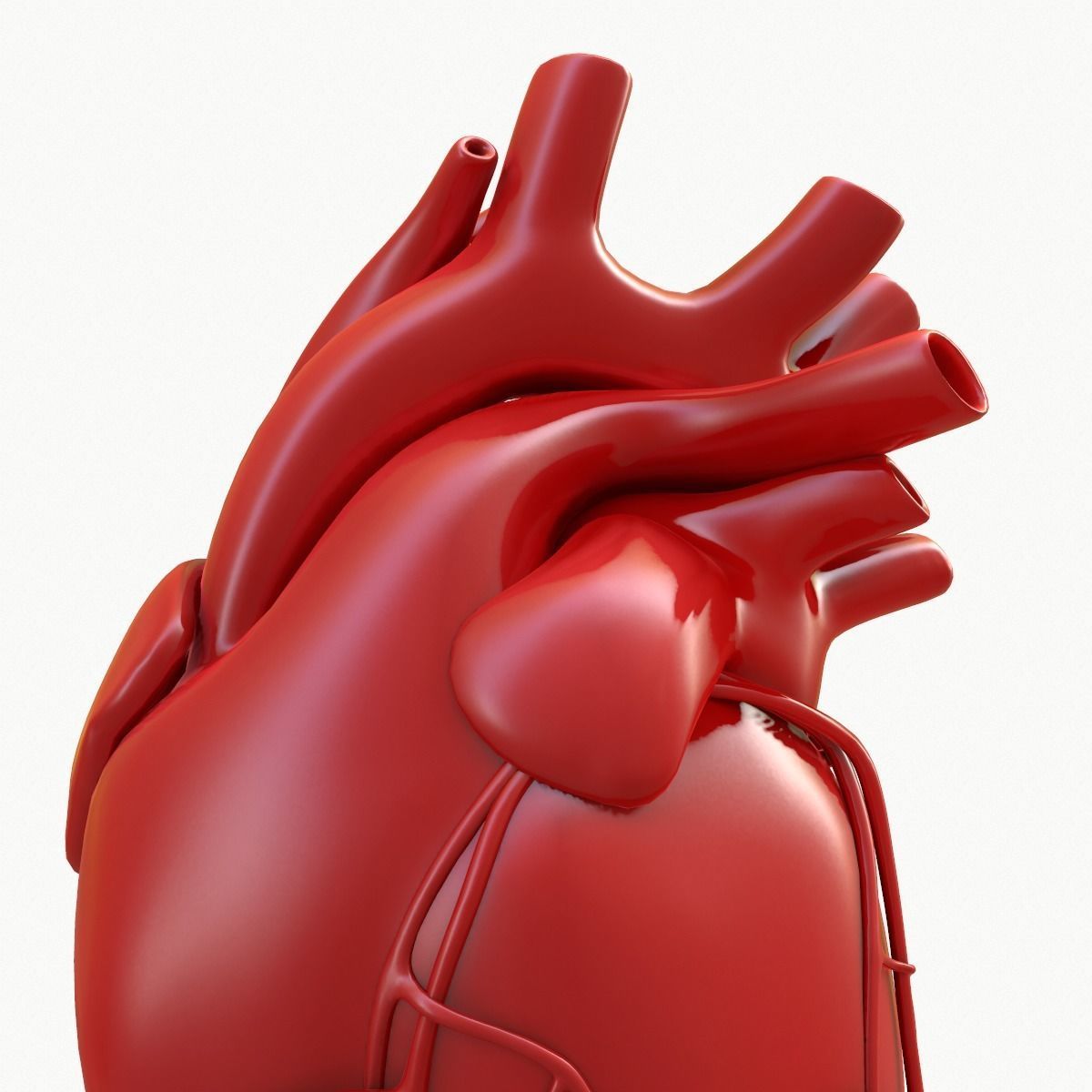 Human Heart 3D model_15
