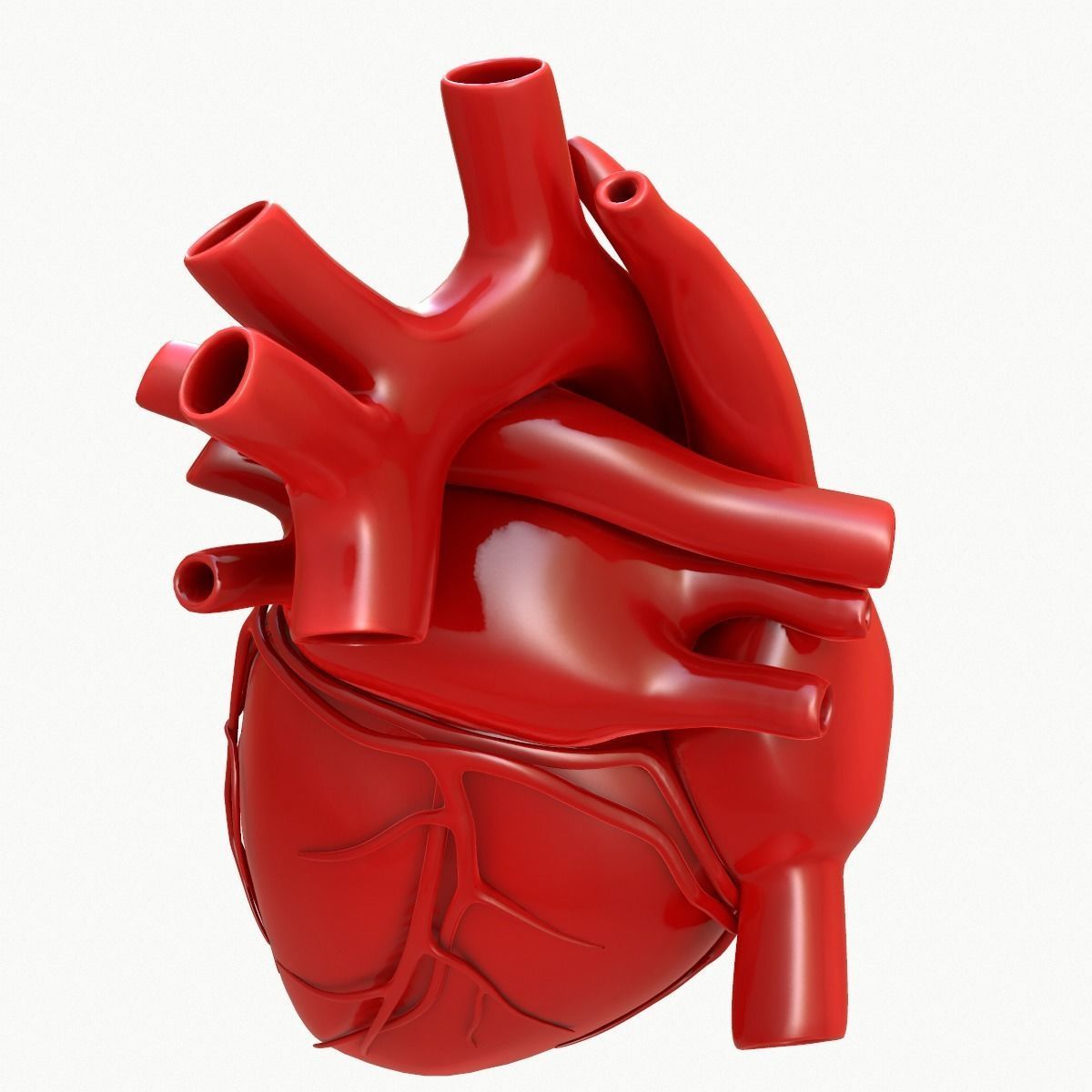 Human Heart 3D model_9