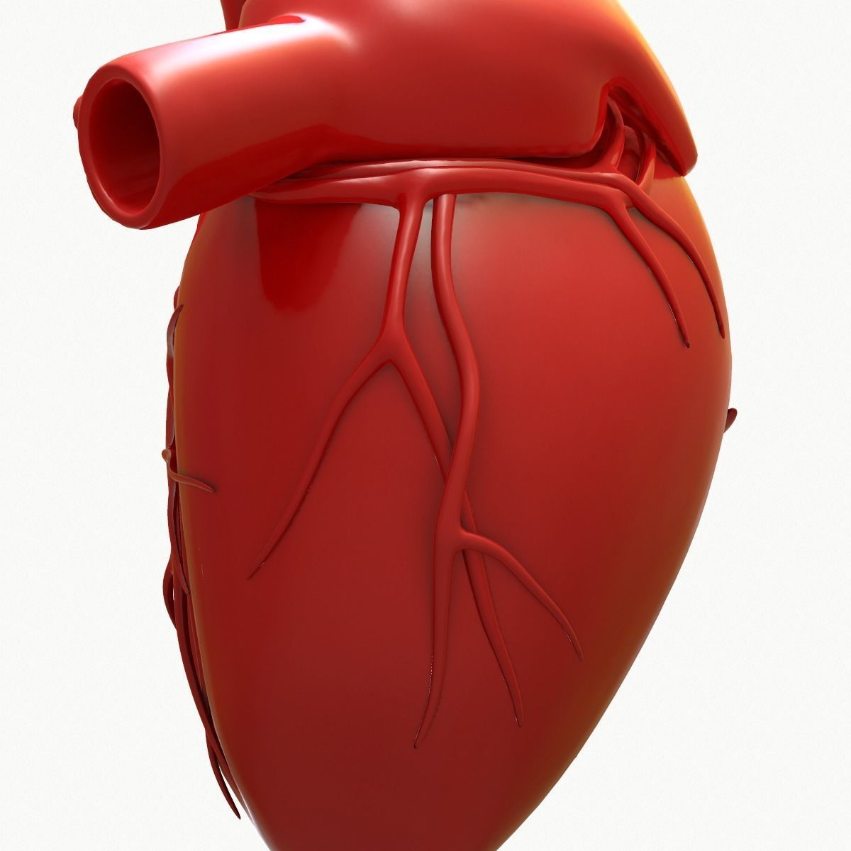 Human Heart 3D model_16
