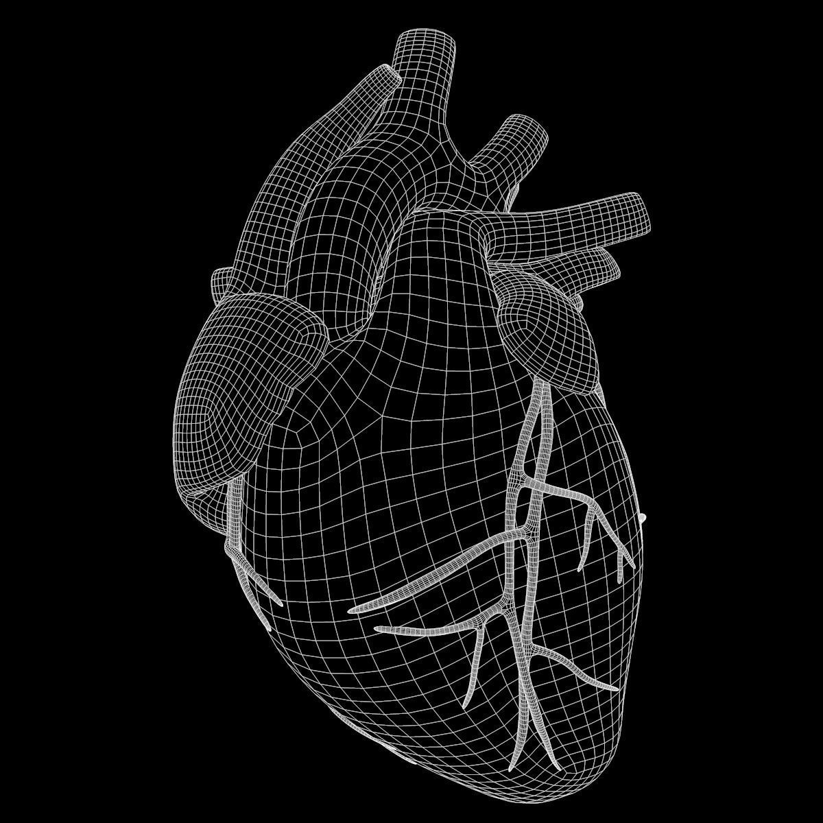 Human Heart 3D model_18