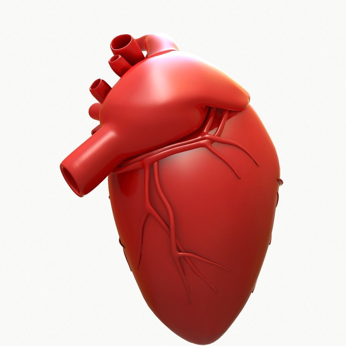 Human Heart 3D model_6
