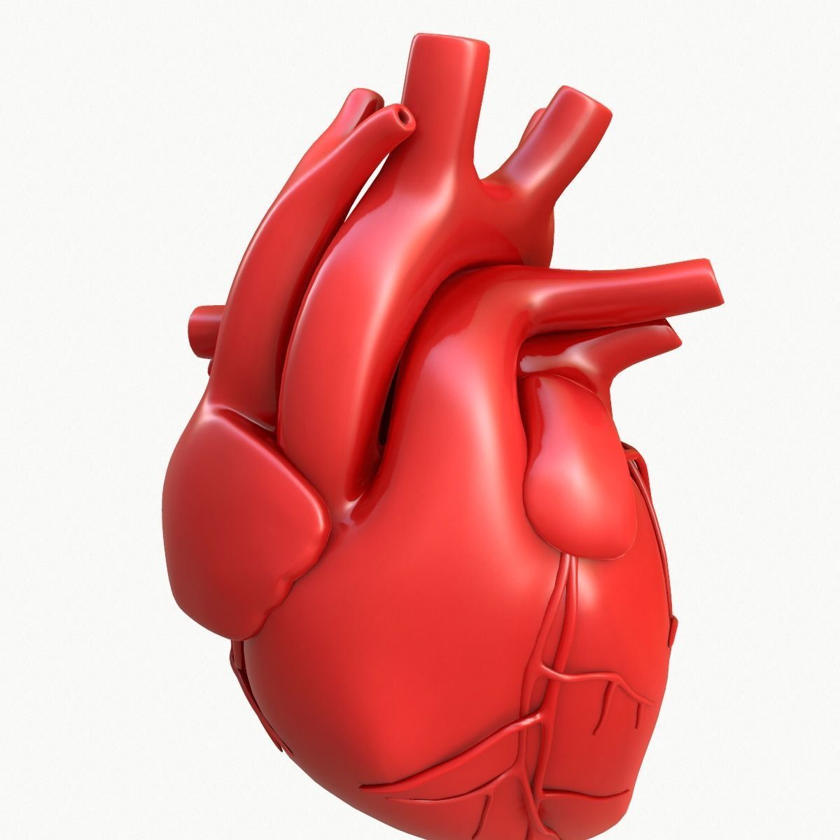 Human Heart 3D model_10