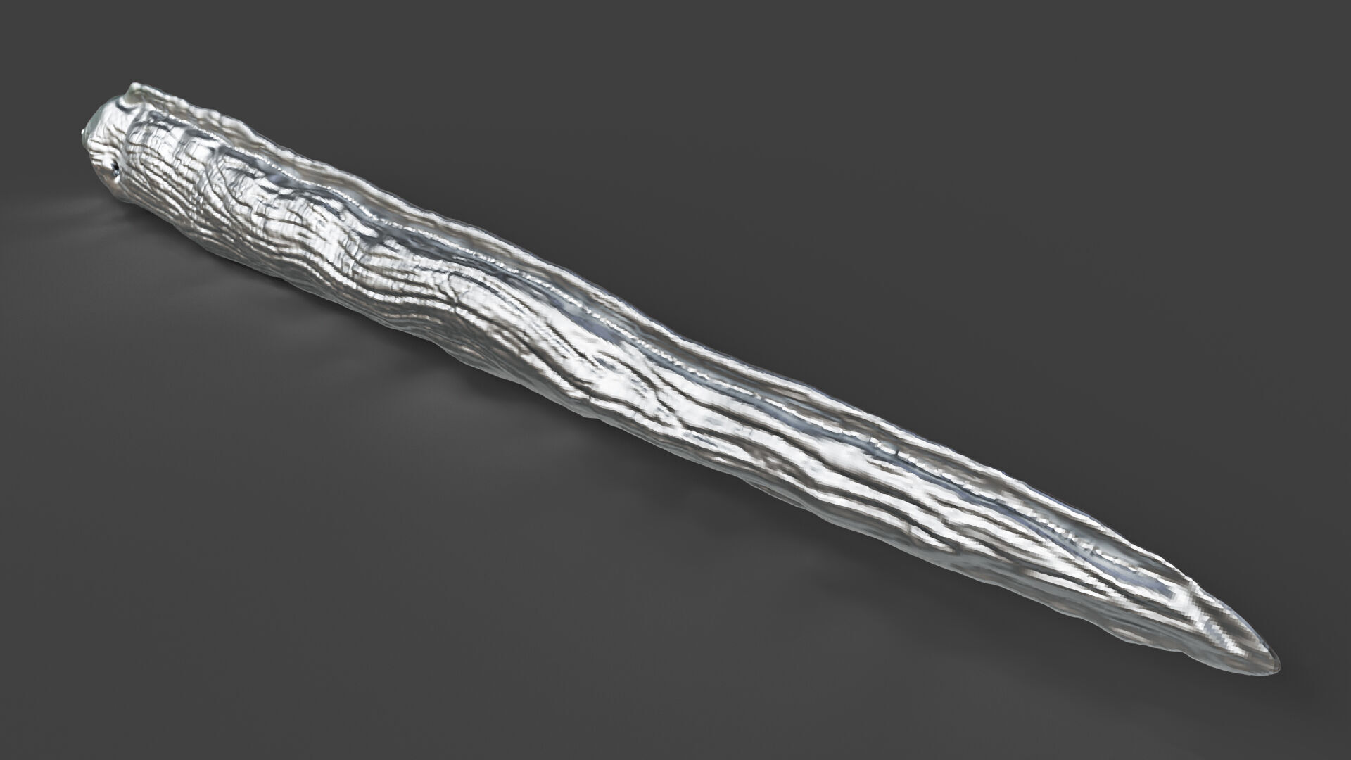 Silver Moray EEL 3D print model_2