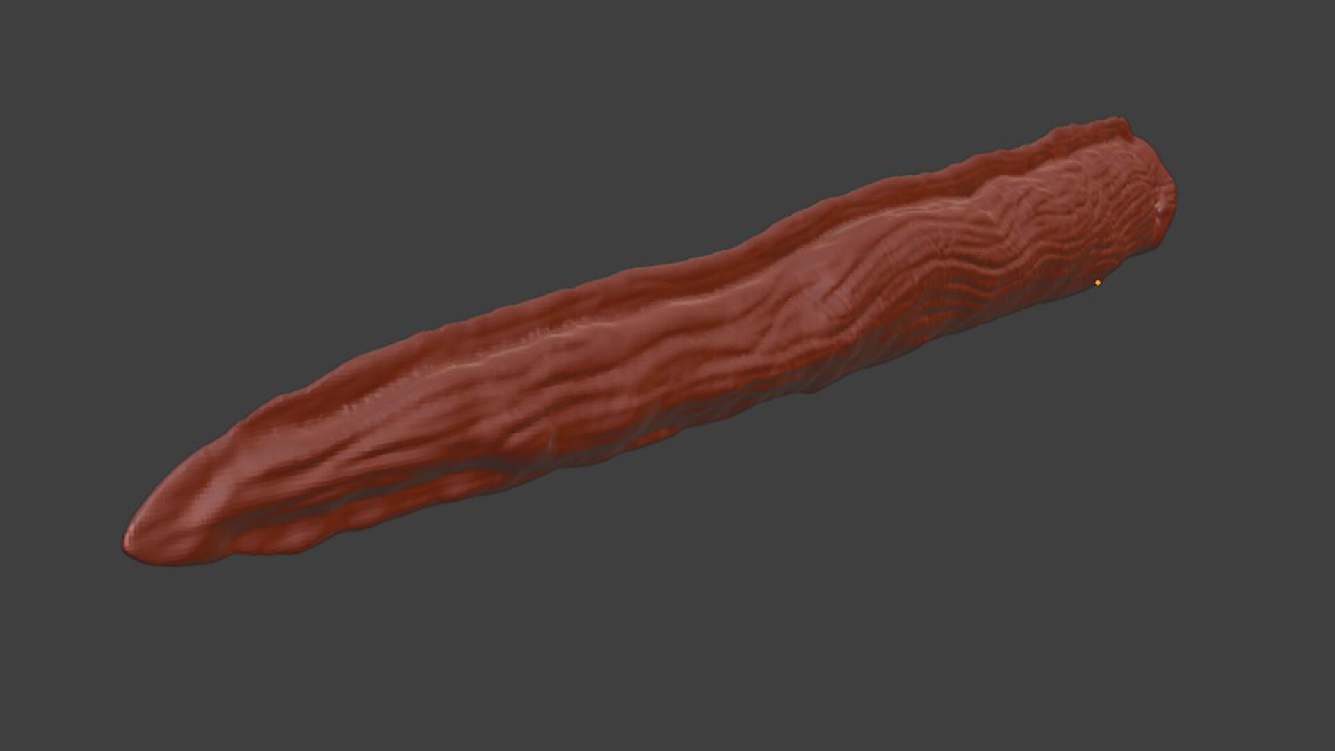 Silver Moray EEL 3D print model_9