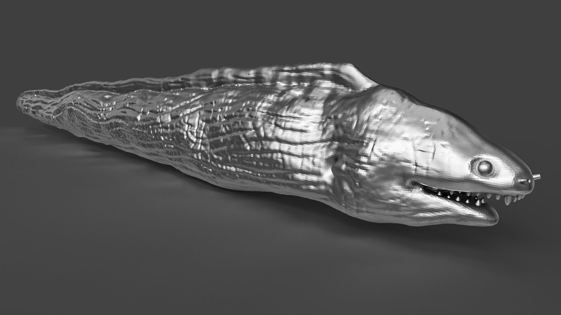 Silver Moray EEL 3D print model_4