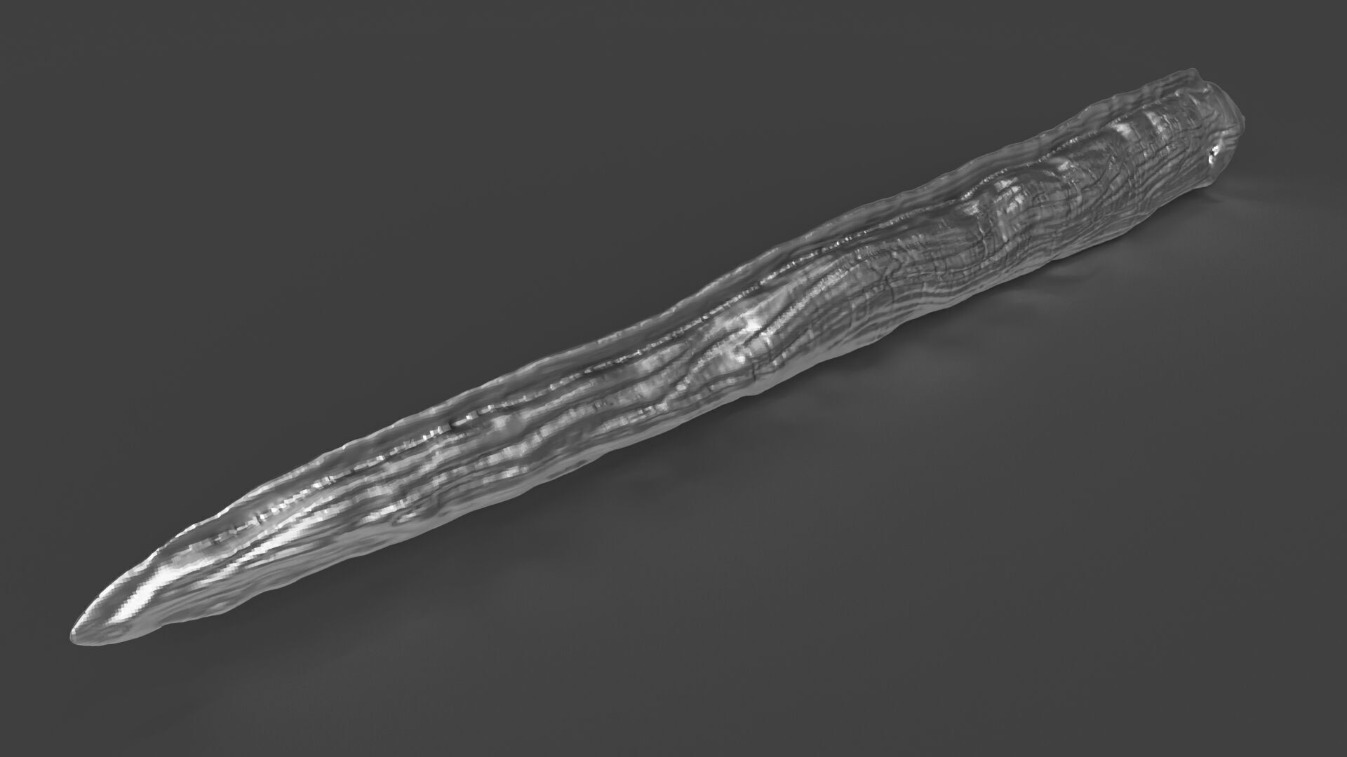 Silver Moray EEL 3D print model_3