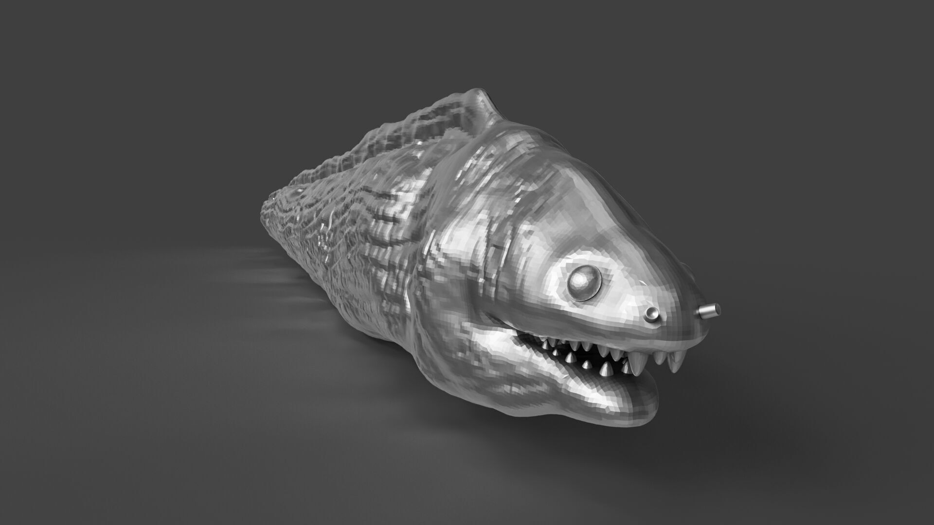 Silver Moray EEL 3D print model_5