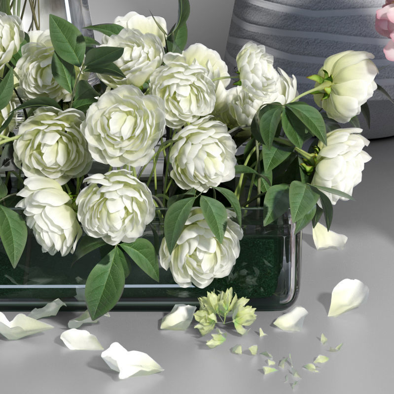 Realistic Natural Fresh Peonies in Different Vases 3D model_16