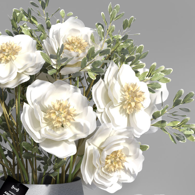 Realistic Natural Fresh Peonies in Different Vases 3D model_18