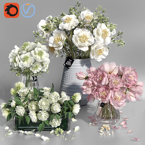 Realistic Natural Fresh Peonies in Different Vases 3D model