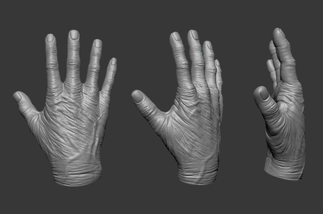 Old Human Hand 3D model_1