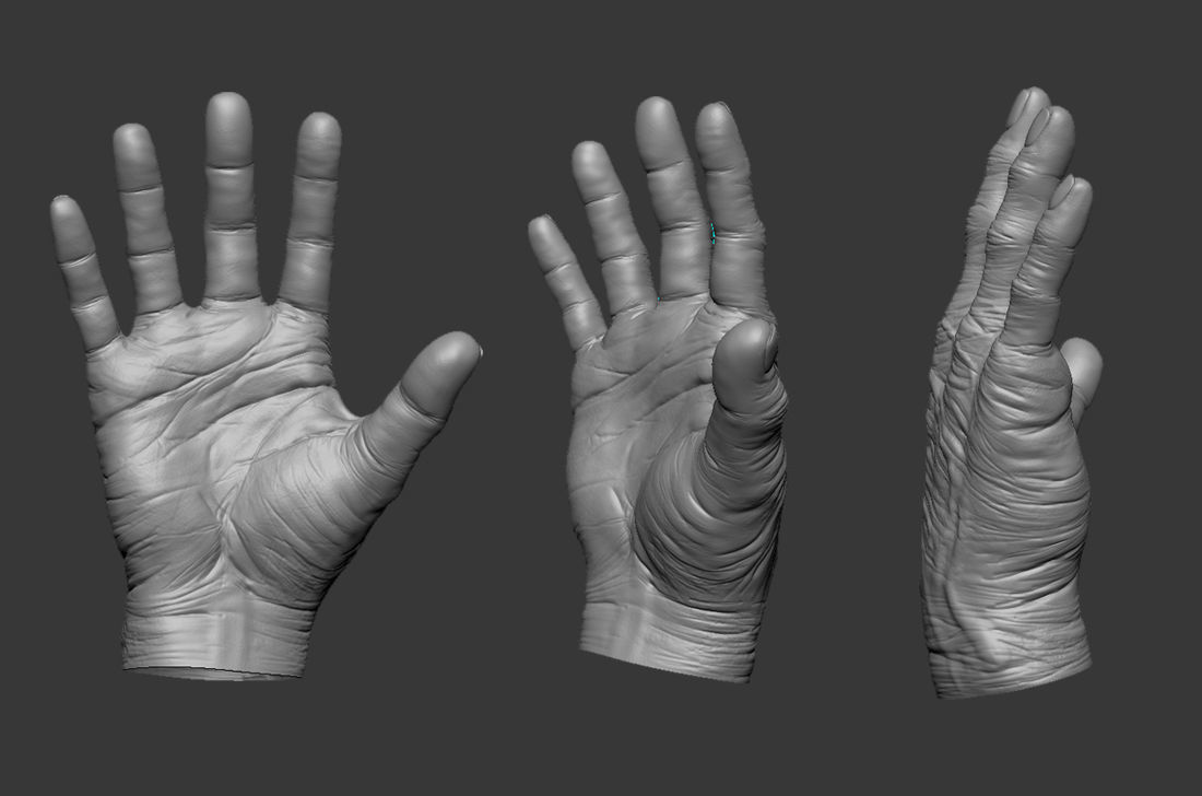 Old Human Hand 3D model_2