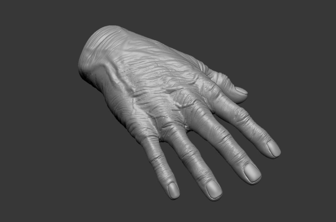 Old Human Hand 3D model_5