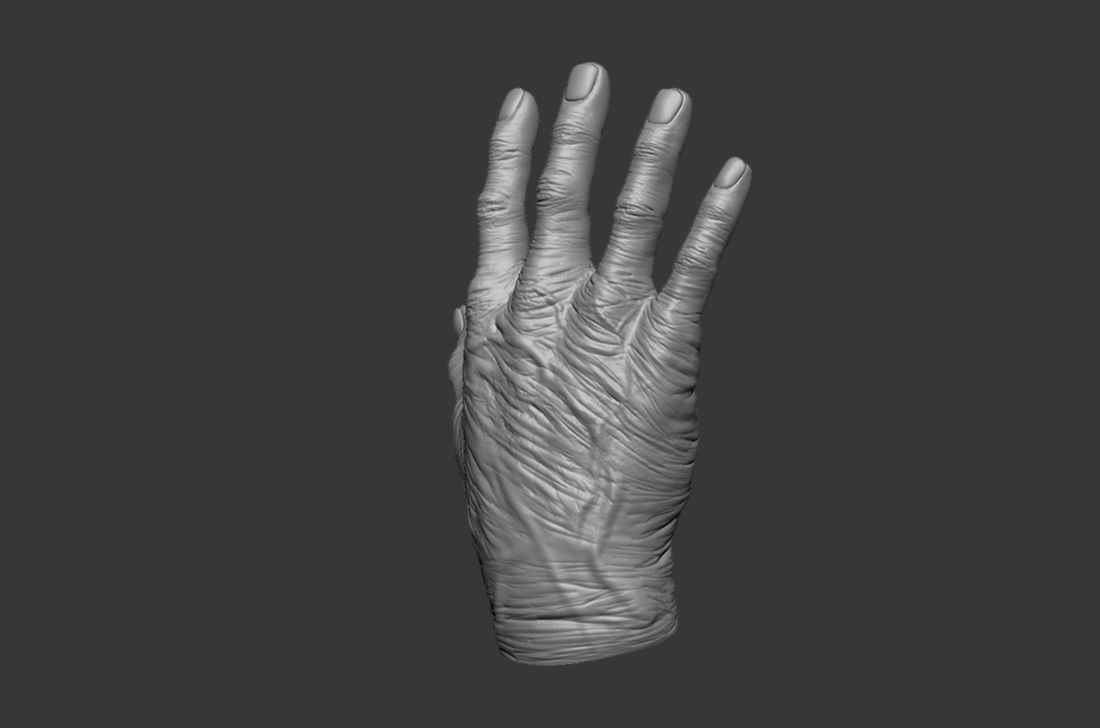 Old Human Hand 3D model_3