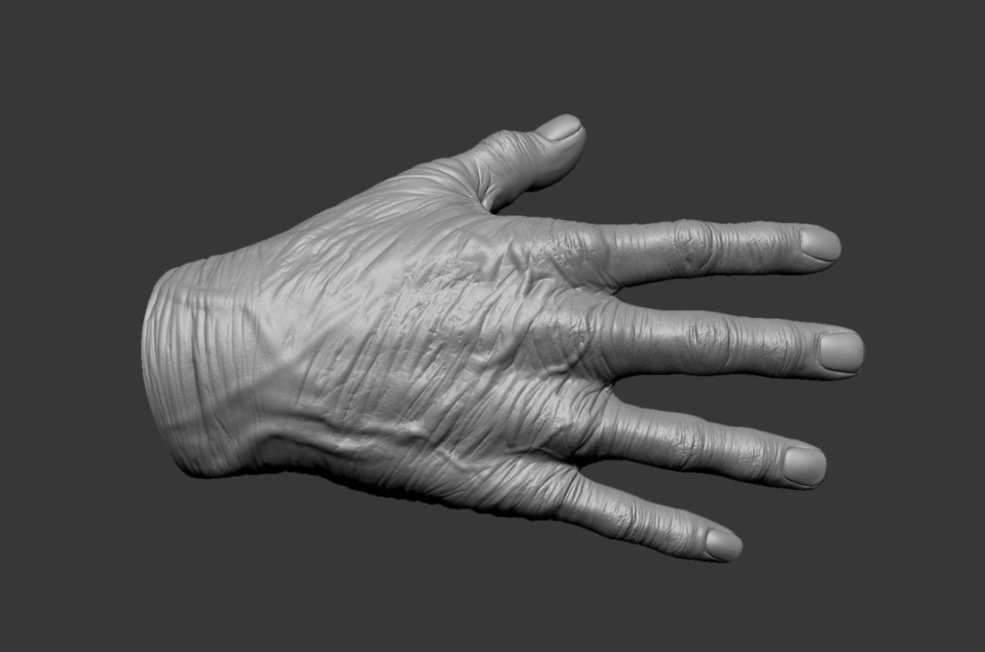 Old Human Hand 3D model_6