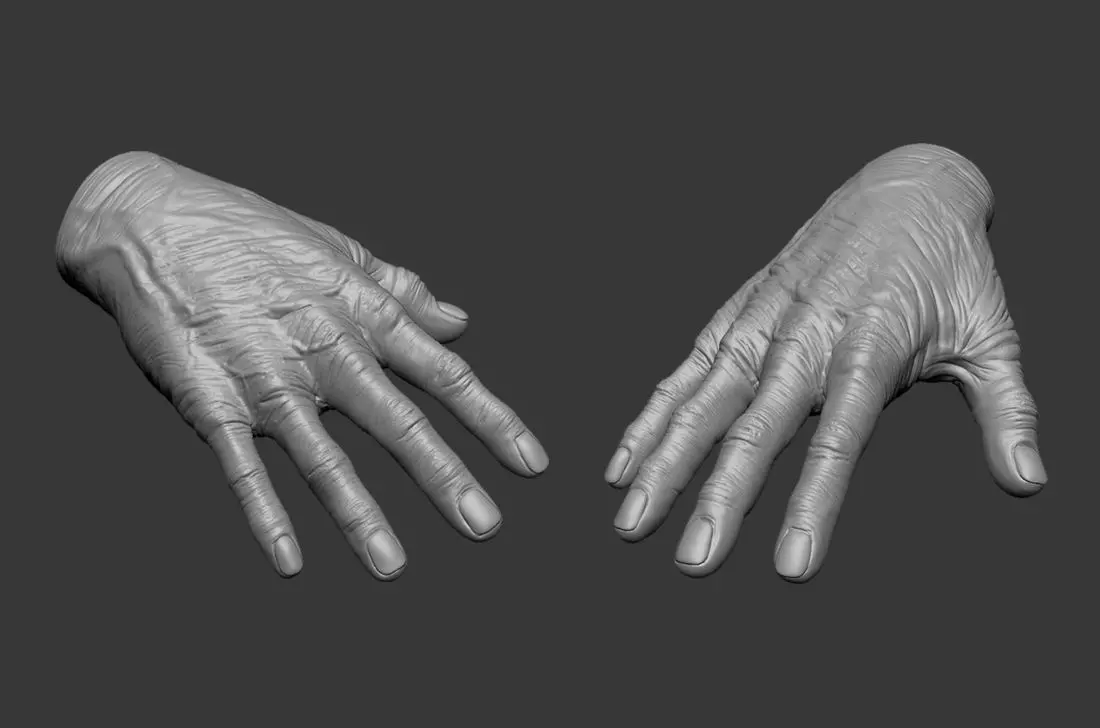 Old Human Hand 3D model_0