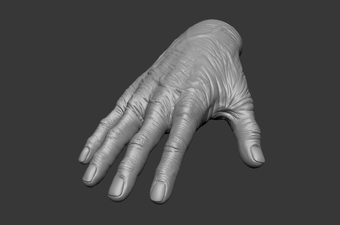 Old Human Hand 3D model_4