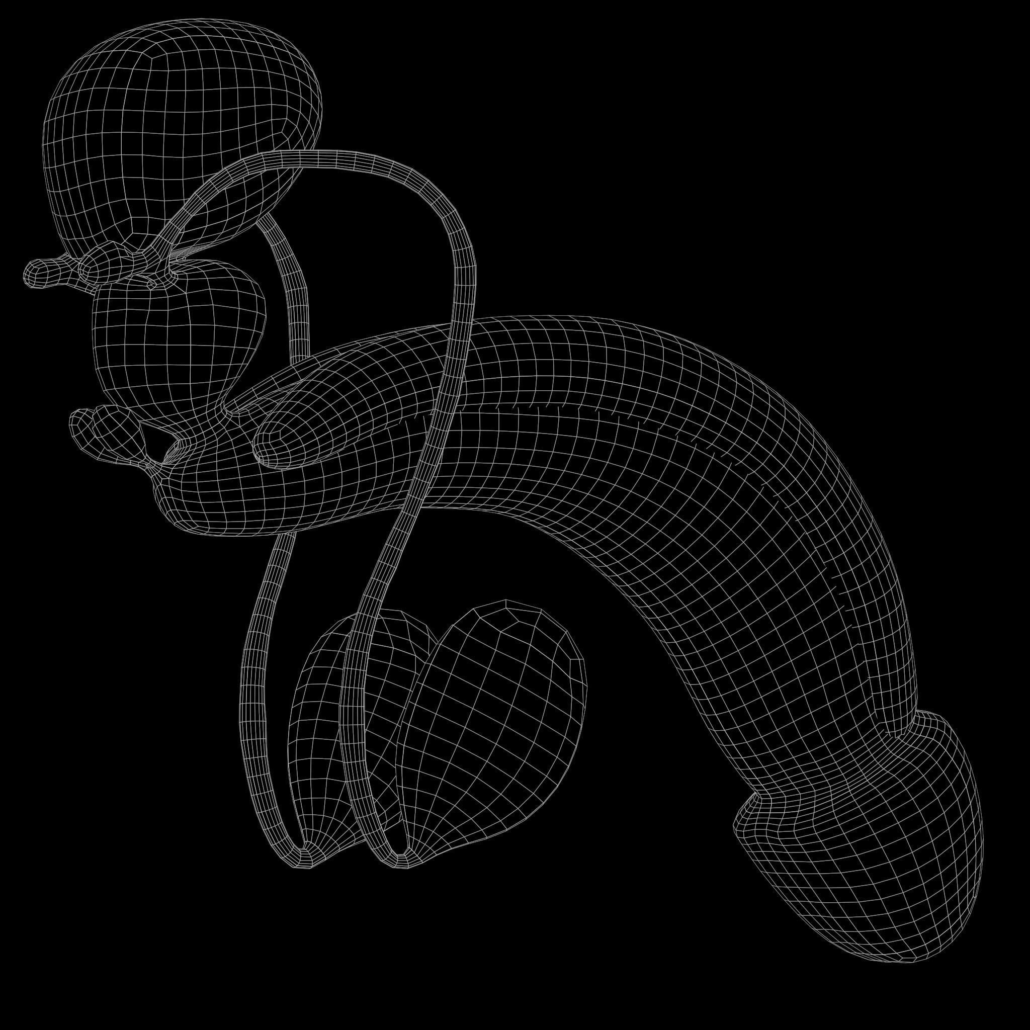 Female and Male Reproductive System 3D model_6