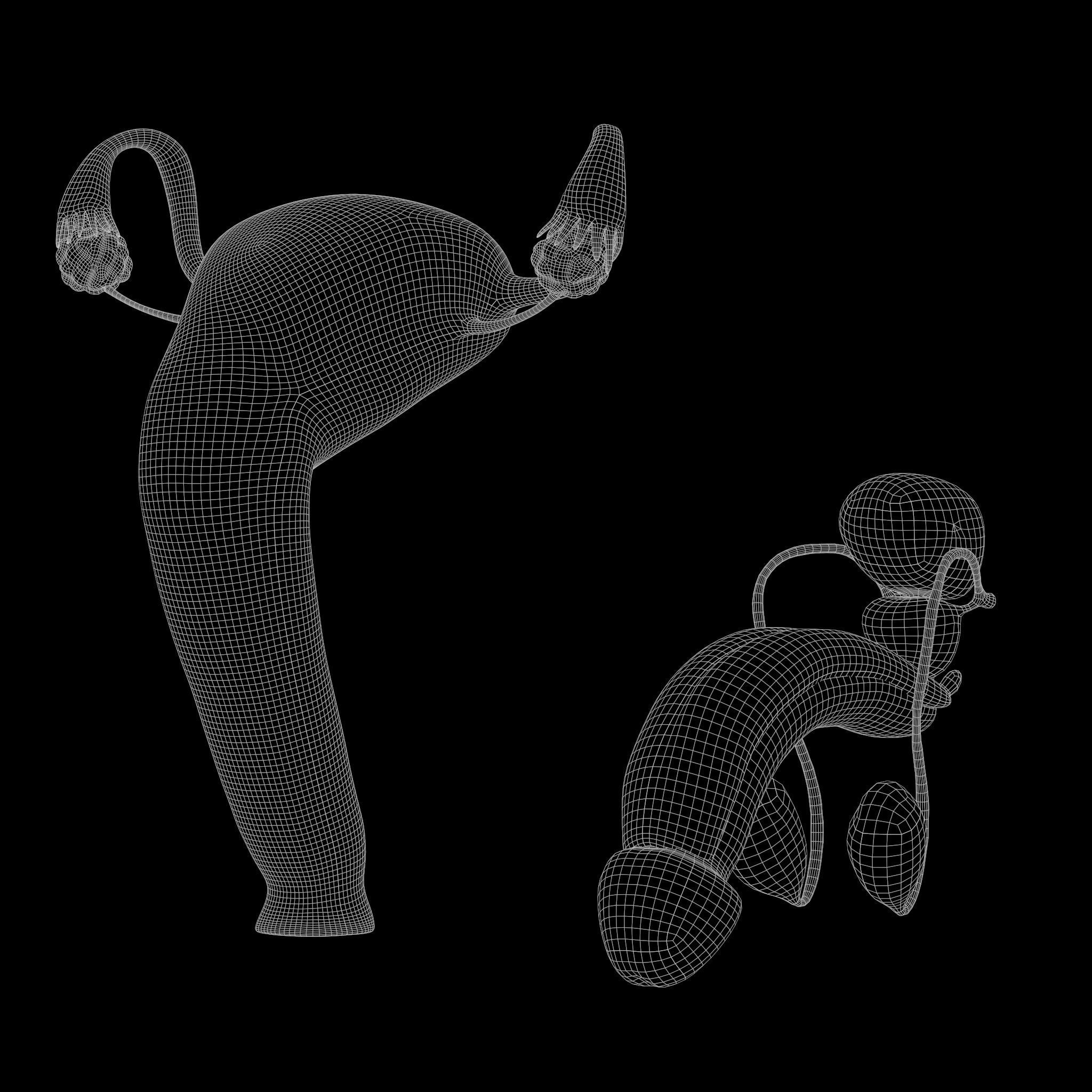 Female and Male Reproductive System 3D model_7